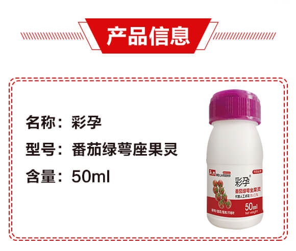 番茄綠萼座果靈-彩孕-民德利華_02