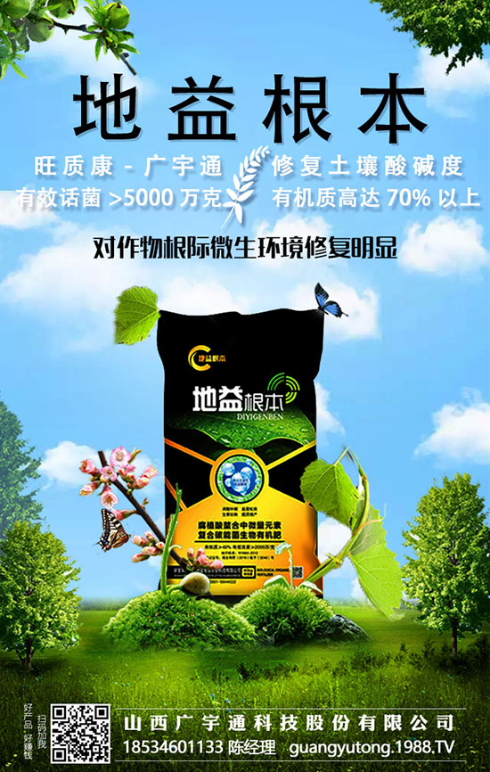 春季種植茄子，打頂必不可少！