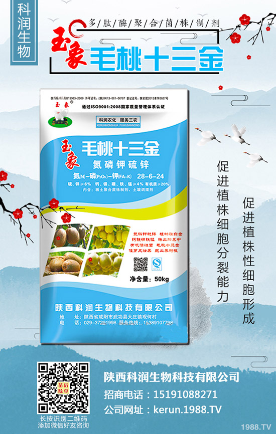     警惕：尿素連續(xù)漲價后，風(fēng)險大嗎？2020-3-13各地最新報價！