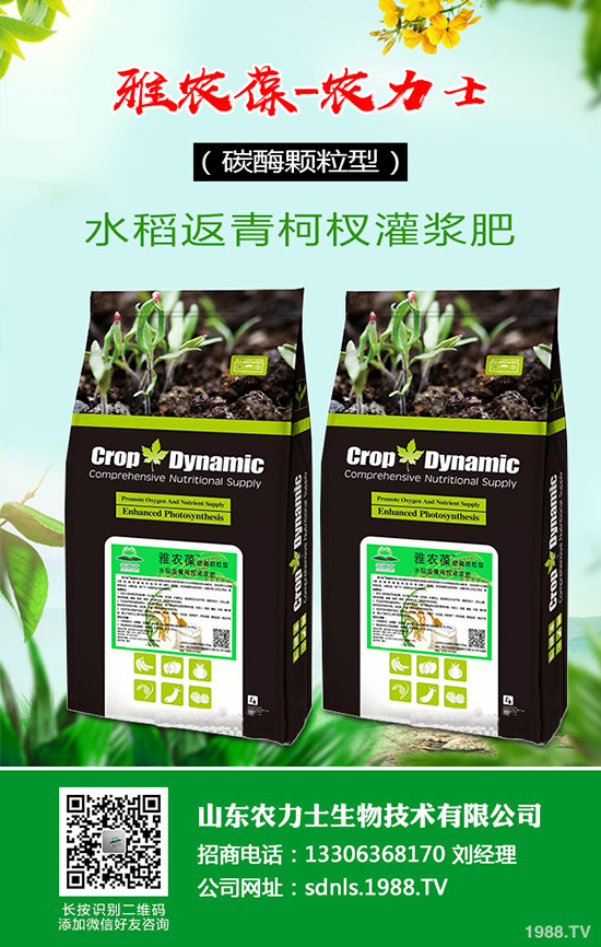     原料和成本持續(xù)上漲，復(fù)合肥貨緊價揚！最新行情走勢分析2020-3-17！