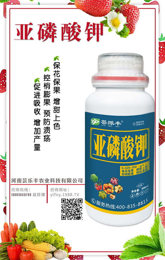 花生什么時間種植？花生生長管理要點！