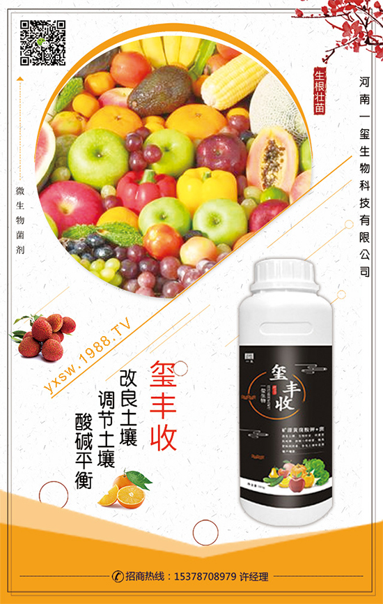 葫蘆的生長習性，葫蘆種植技術要點！