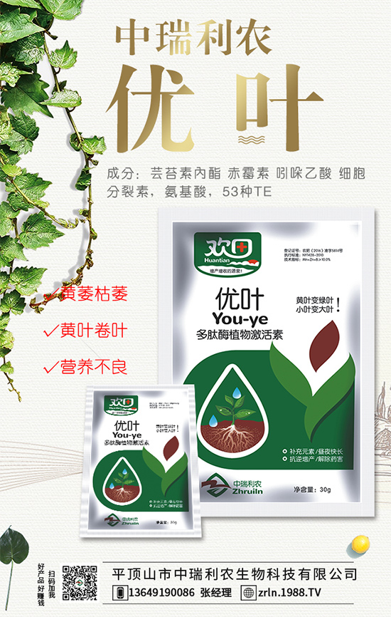 西瓜什么時間種植？西瓜伸蔓期管理要點！