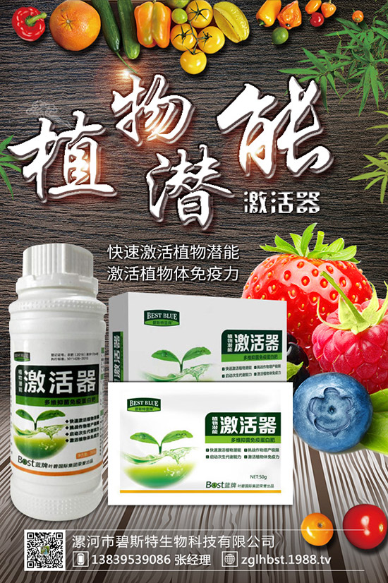 天麻怎么種成活率高？天麻什么時(shí)候種植更好？