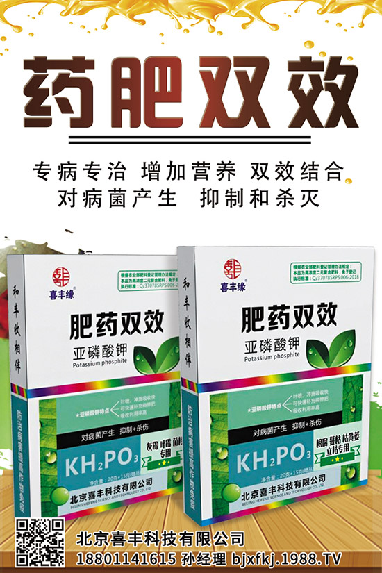 西蘭花施肥管理技術(shù)有哪些，這些一定要看！