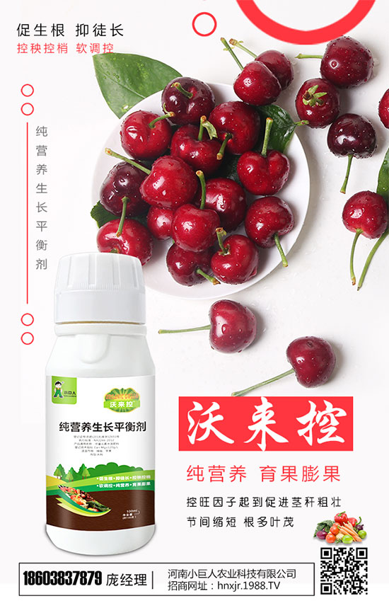 扁豆的品種有哪些？扁豆的生長習(xí)性及種植時間！
