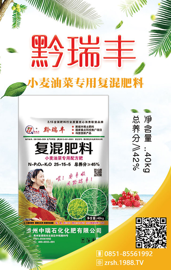 如何種植春季白菜?科學方法有哪些?