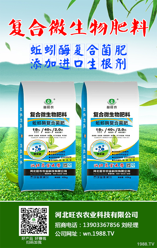 洋桔梗該如何種植？洋桔梗栽培種植技術