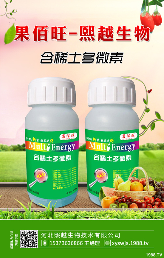 洋桔梗該如何種植？洋桔梗栽培種植技術