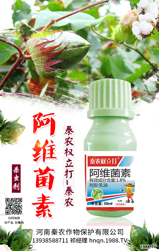 番茄生理性卷葉是什么原因？番茄生理性卷葉病的防治！