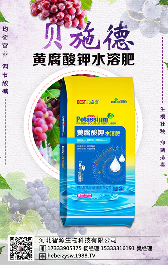 西瓜的生育周期，西瓜播種要點(diǎn)及種植密度！