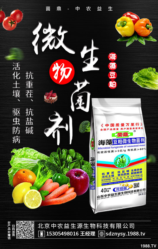     春季用肥基本結(jié)束，最新鉀肥價格走勢預(yù)測2020-4-13