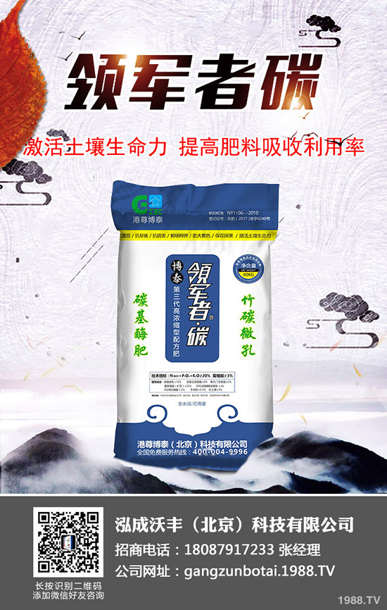 西紅柿徒長怎么辦？科學(xué)預(yù)防西紅柿徒長的方法