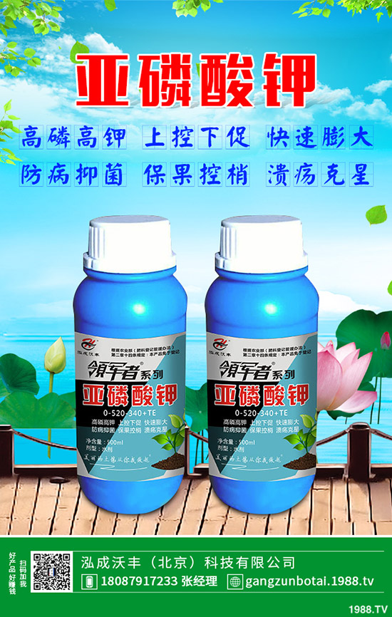 黃瓜彎瓜是什么原因呢？黃瓜彎瓜改善要訣！