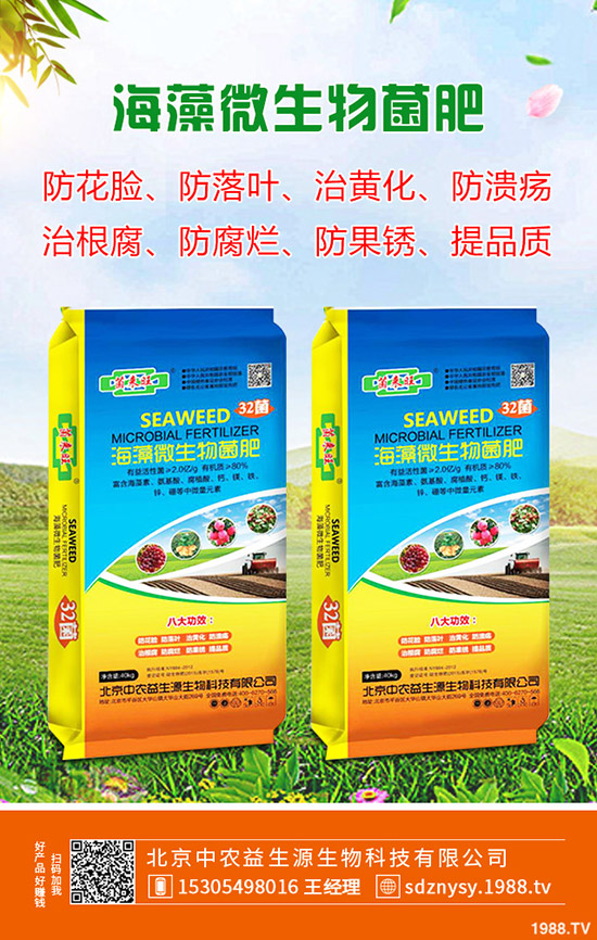     2020年4月4日近期磷銨行情暫穩(wěn)！最新一銨二銨價(jià)格早報(bào)！