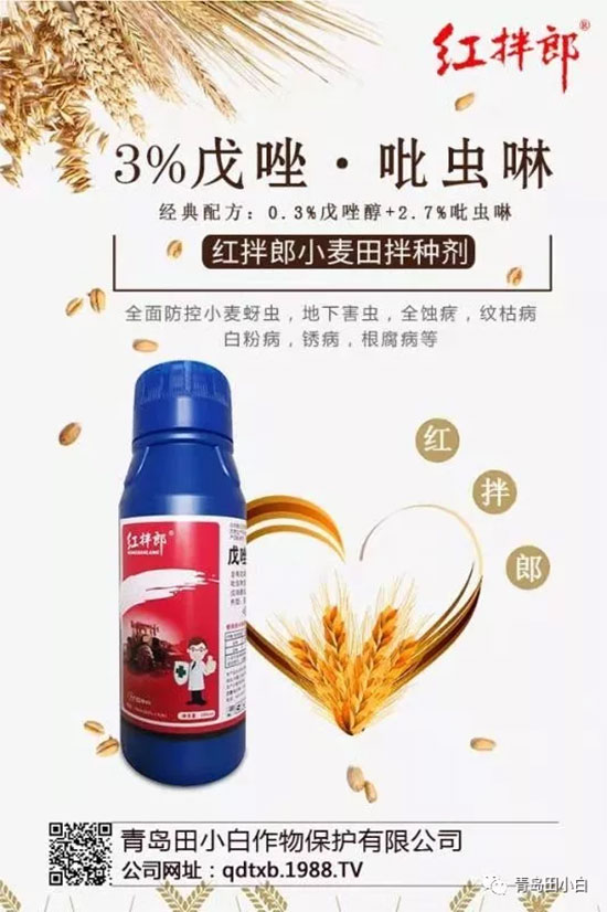 玉米為什么要拌種？玉米二次拌種及注意事項！