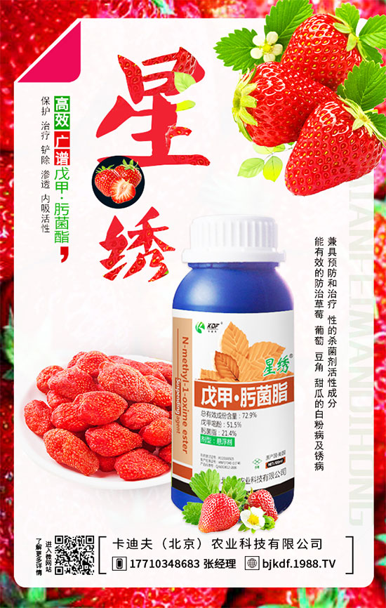 豆角要不要打尖？豆角如何正確整枝打尖呢？