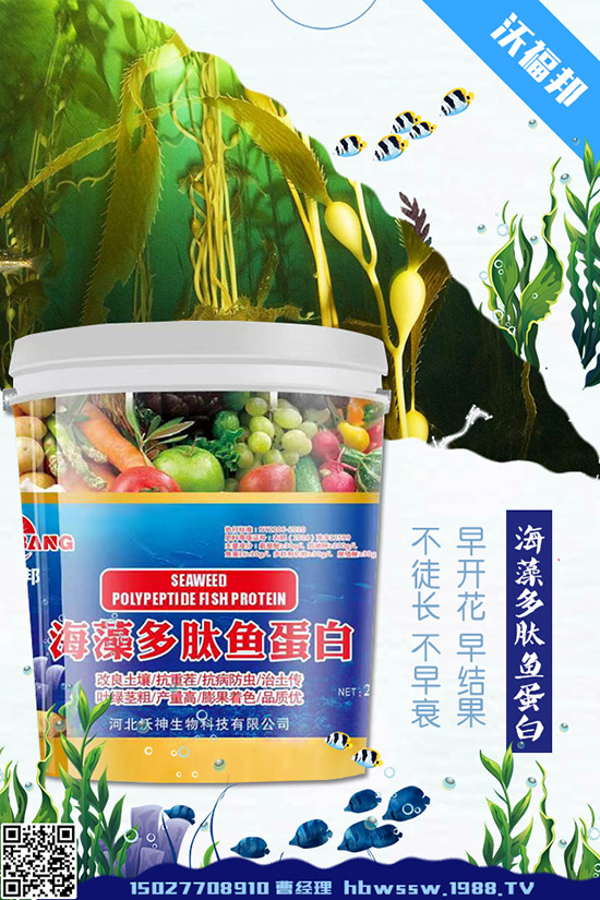     茄子種植需要注意哪些問(wèn)題，茄子的水肥管理要點(diǎn)！