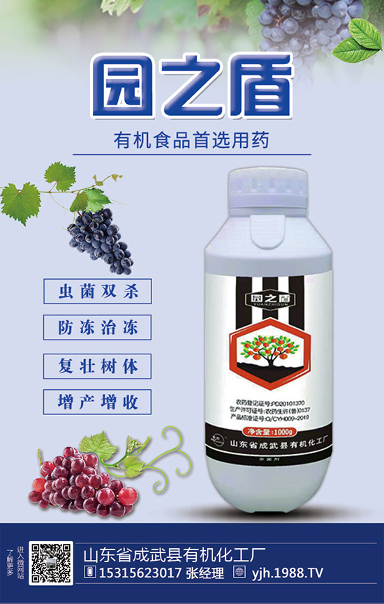 蘆筍如何施肥？蘆筍用什么肥料好？蘆筍需肥特點(diǎn)及注意事項(xiàng)！