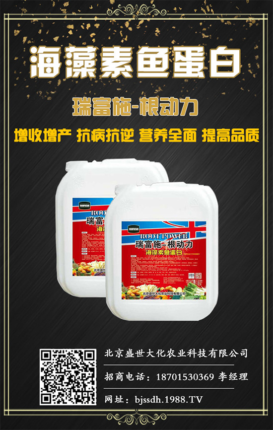土茯苓是什么植物？土茯苓的功效與作用有哪些？