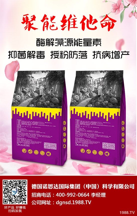 密本南瓜怎么種植？密本南瓜的栽培技術(shù)要點與方法！