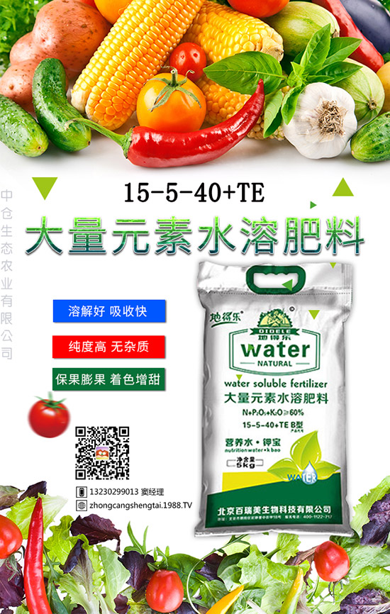 仙人球這樣養(yǎng)才不會死！金琥繁殖及栽培養(yǎng)殖管理！