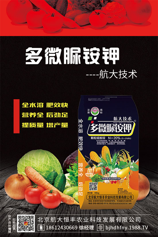 三七種子怎么種植？三七功效與作用有哪些？