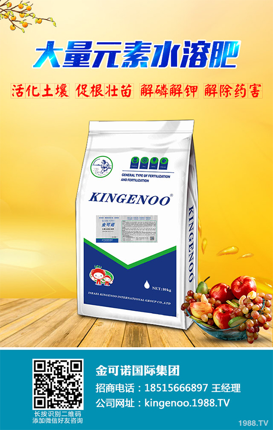 種植油茶能掙錢嗎？2020年油茶樹種植前景及效益分析