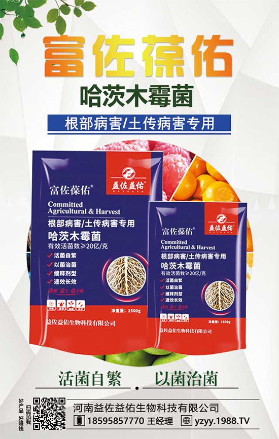 芋頭都有什么營養(yǎng)價值？吃芋頭有什么好處？