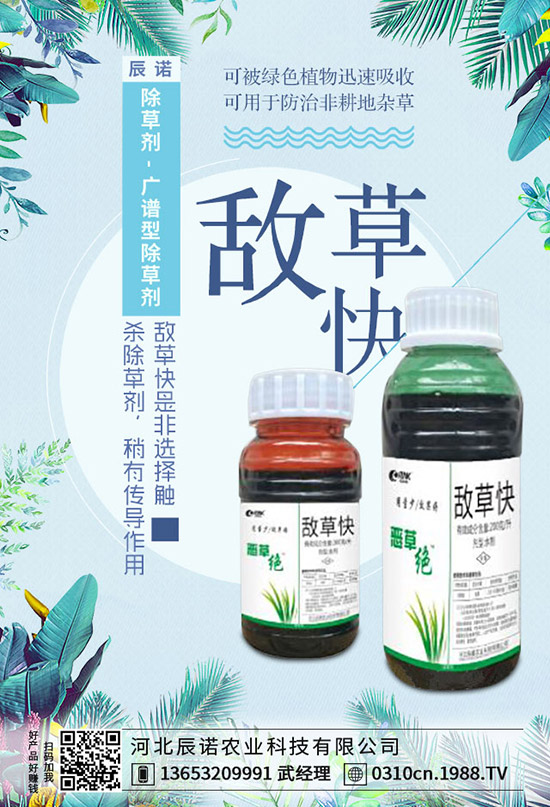 新煙堿類農(nóng)藥爭議不斷，英國甜菜種植者獲得使用噻蟲的緊急批準(zhǔn)