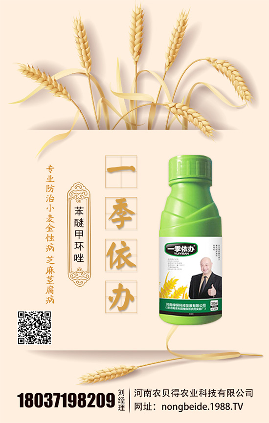 水培白掌怎么養(yǎng)？水培水培注意要點！