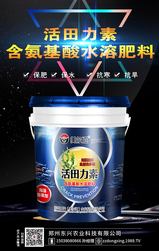 牛大力的種植的前景怎樣，牛大力種植技術及苗期管理！