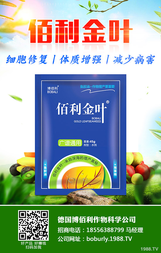     蘿卜撇葉中應該注意什么？蘿卜撇葉的方法及注意事項！