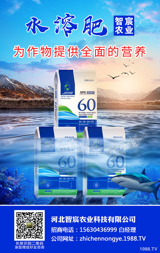 2020尿素價(jià)格要上漲！最新尿素行情走勢分析！