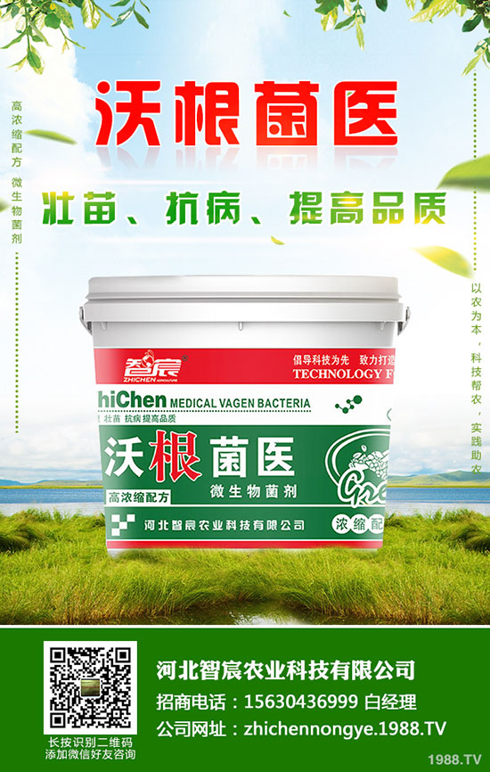 鉀肥價格整體偏低運行！最新鉀肥行情分析2020-5-15！