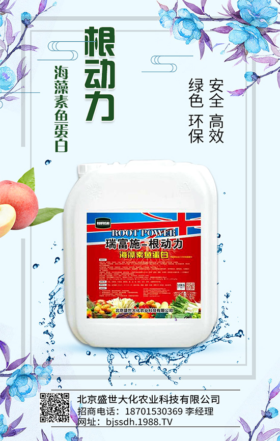 蘆筍有什么營養(yǎng)價值？吃蘆筍有哪些好處？