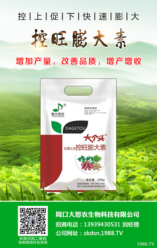 茄子瘋長到不結(jié)果是咋回事？該如何預防？茄子瘋長的發(fā)生原因及預防措施！