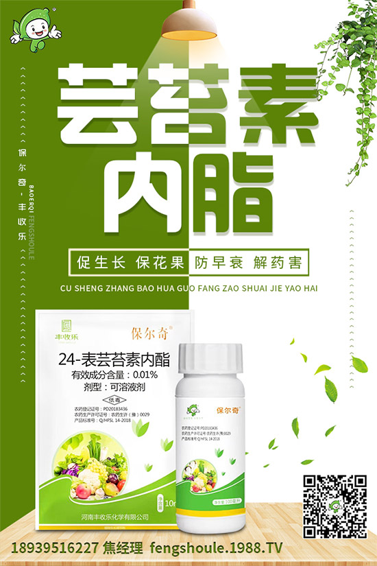 草珊瑚該怎么種植？如何種植能高產(chǎn)？草珊瑚高產(chǎn)種植技術(shù)