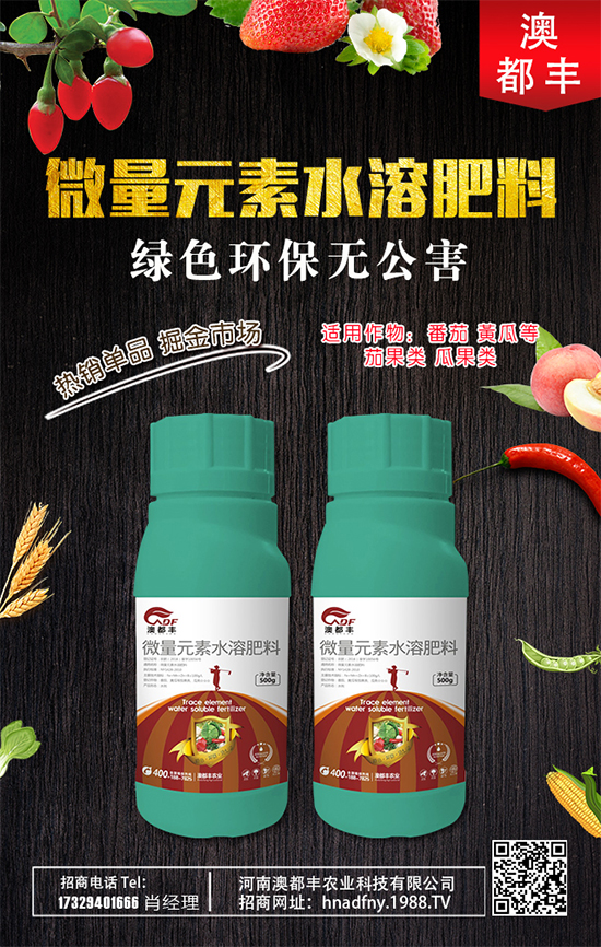 甜瓜什么時間種植好？甜瓜種植技術(shù)要點(diǎn)！