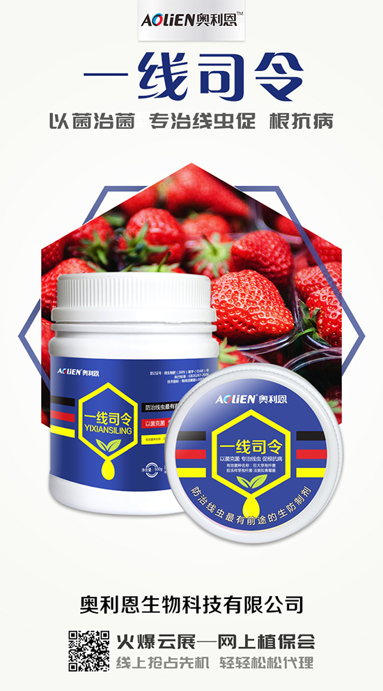 香瓜育苗期的水肥管理，香瓜施肥的注意事項(xiàng)！