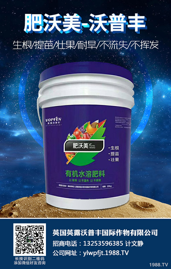2020年沃柑價(jià)格多少錢一斤？沃柑種植前景如何？