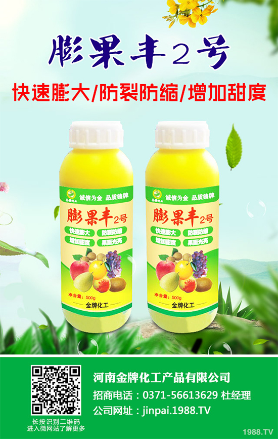     黑櫻桃該如何栽培？怎樣管理？黑櫻桃高產(chǎn)栽培管理技術(shù)