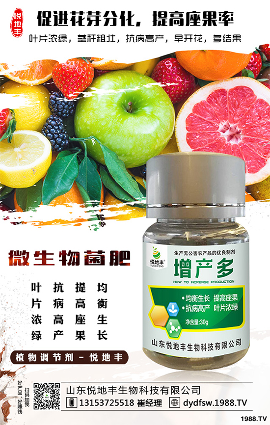 冰菜該如何栽培？怎樣種植能高產(chǎn)？冰菜的高產(chǎn)栽培技術(shù)