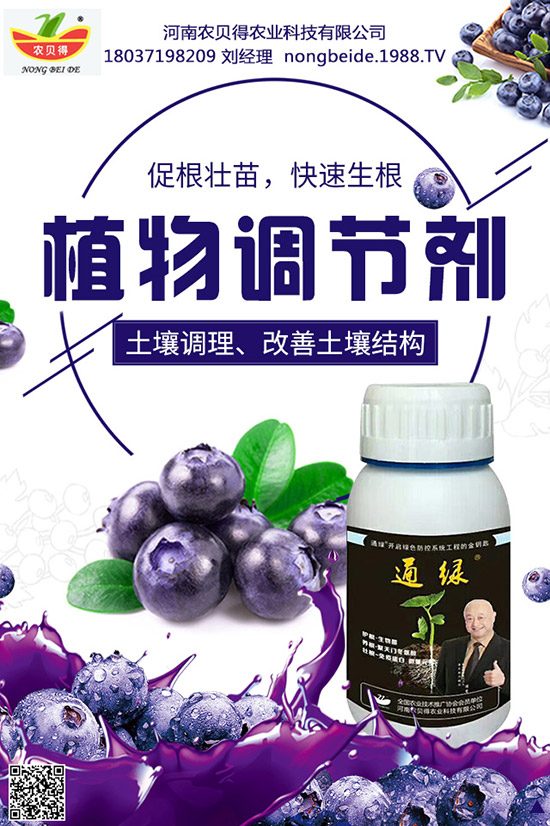     八月瓜到底有多好，八月瓜的藥用價值及營養(yǎng)功效！