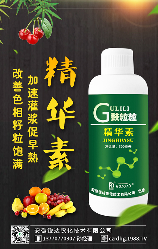     紅心火龍果和白心火龍果哪個(gè)好？區(qū)別有哪些？營(yíng)養(yǎng)誰(shuí)更高？