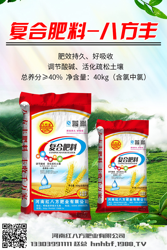  川貝母多少錢一克？川貝母的種植前景及種植技術(shù)！