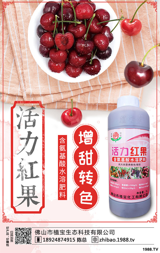     一銨訂單仍顯不佳！最新磷銨價格行情日報