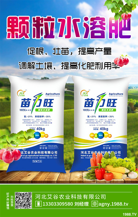 黑番茄有哪些營養(yǎng)價值？功效作用有哪些？黑番茄的功效作用及種植前景