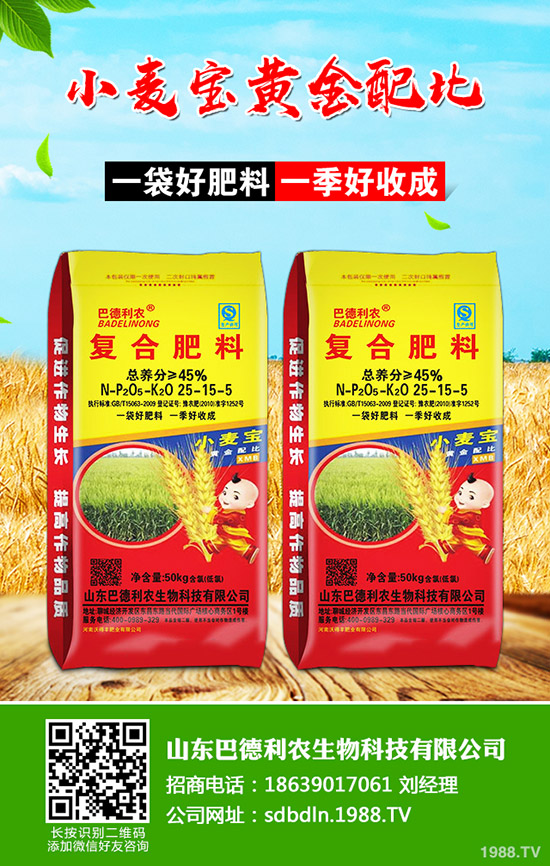     棉花如何種植？播種時期及播種密度！如何科學(xué)管理？棉花前中后期管理方案！