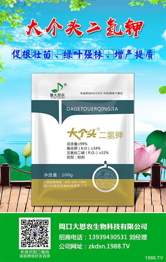 決明子該如何種植？如何才能高產(chǎn)？決明子高產(chǎn)栽培技巧